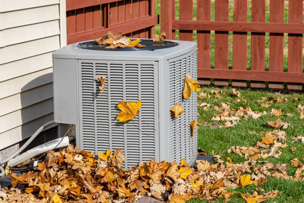 Best Furnace Cleaning in Varnville, SC